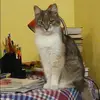 Отзыв от Карина Фролова